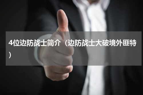 4位边防战士简介（边防战士大破境外匪特）