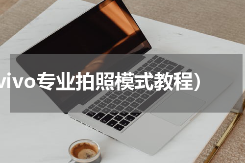 vivo专业拍照模式教程）