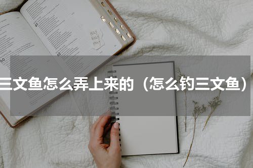 三文鱼怎么弄上来的（怎么钓三文鱼）