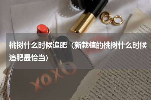 桃树什么时候追肥（新栽植的桃树什么时候追肥最恰当）