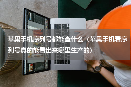 苹果手机序列号都能查什么（苹果手机看序列号真的能看出来哪里生产的）