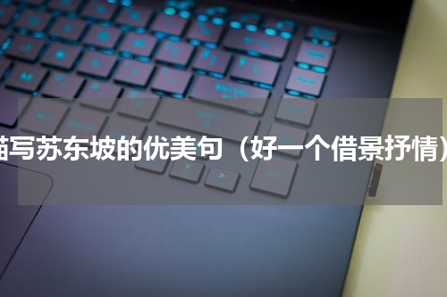 描写苏东坡的优美句（好一个借景抒情）