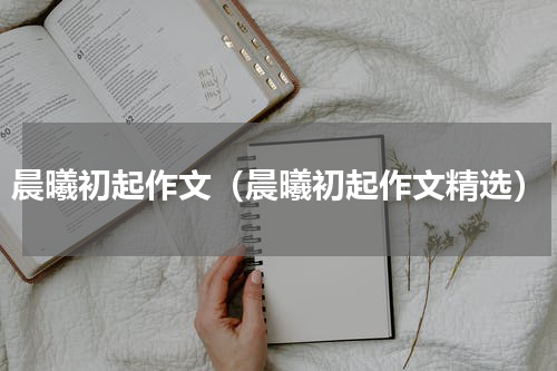 晨曦初起作文（晨曦初起作文精选）