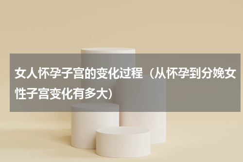 女人怀孕子宫的变化过程（从怀孕到分娩女性子宫变化有多大）