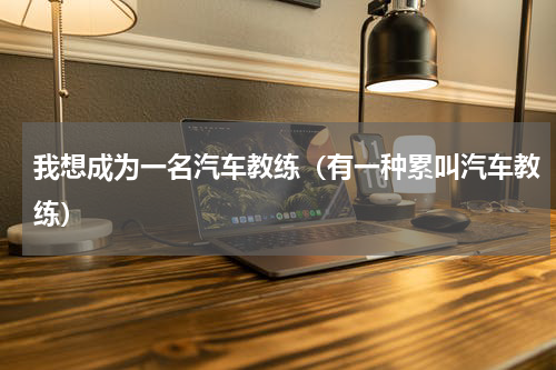 我想成为一名汽车教练（有一种累叫汽车教练）