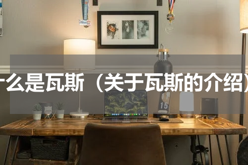 什么是瓦斯（关于瓦斯的介绍）