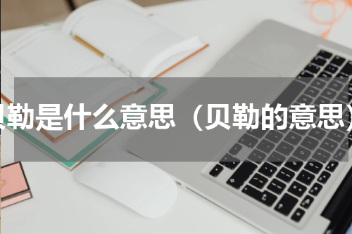 贝勒是什么意思（贝勒的意思）