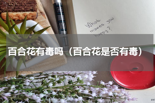百合花有毒吗（百合花是否有毒）