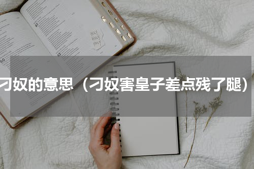 刁奴的意思（刁奴害皇子差点残了腿）