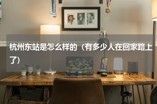 杭州东站是怎么样的（有多少人在回家路上了）