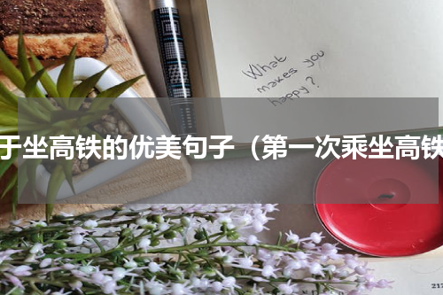 关于坐高铁的优美句子（第一次乘坐高铁）