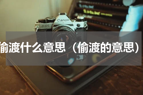偷渡什么意思（偷渡的意思）