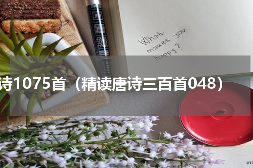 唐诗1075首（精读唐诗三百首048）