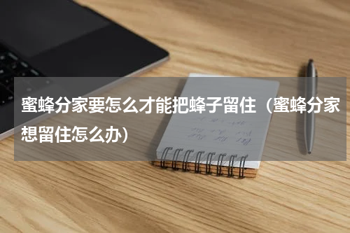 蜜蜂分家要怎么才能把蜂子留住（蜜蜂分家想留住怎么办）