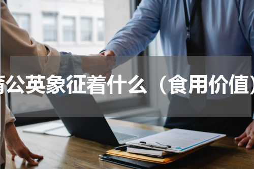 蒲公英象征着什么（食用价值）