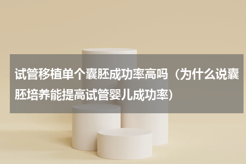 试管移植单个囊胚成功率高吗（为什么说囊胚培养能提高试管婴儿成功率）