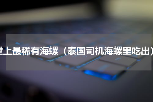 世上最稀有海螺（泰国司机海螺里吃出）