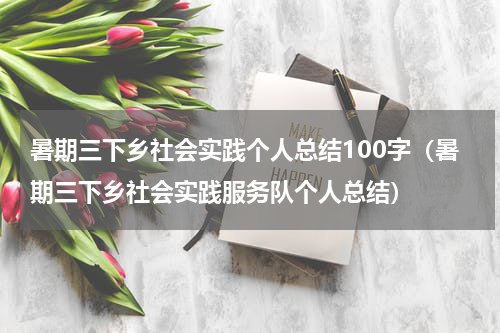 暑期三下乡社会实践个人总结100字（暑期三下乡社会实践服务队个人总结）