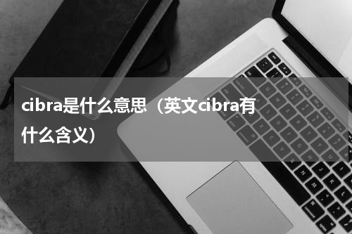 cibra是什么意思（英文cibra有什么含义）