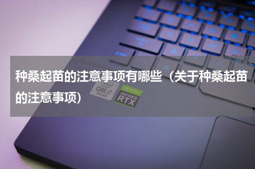 种桑起苗的注意事项有哪些（关于种桑起苗的注意事项）