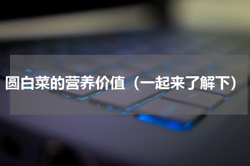 圆白菜的营养价值（一起来了解下）