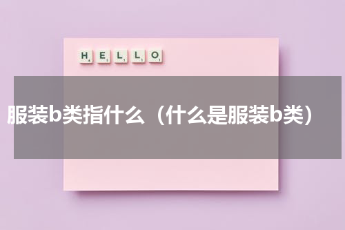 服装b类指什么（什么是服装b类）