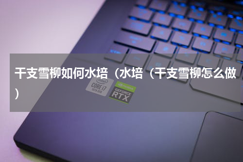 干支雪柳如何水培（水培（干支雪柳怎么做）