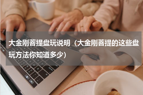 大金刚菩提盘玩说明（大金刚菩提的这些盘玩方法你知道多少）