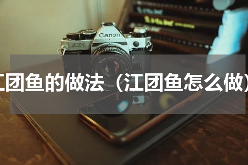 江团鱼的做法（江团鱼怎么做）