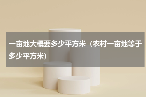 一亩地大概要多少平方米（农村一亩地等于多少平方米）