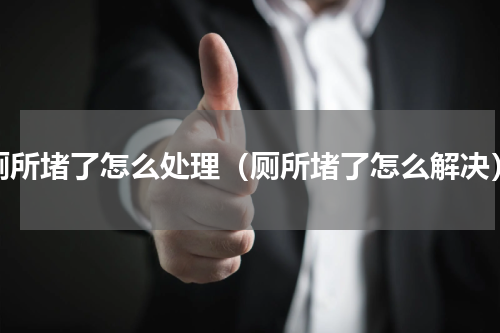 厕所堵了怎么处理（厕所堵了怎么解决）