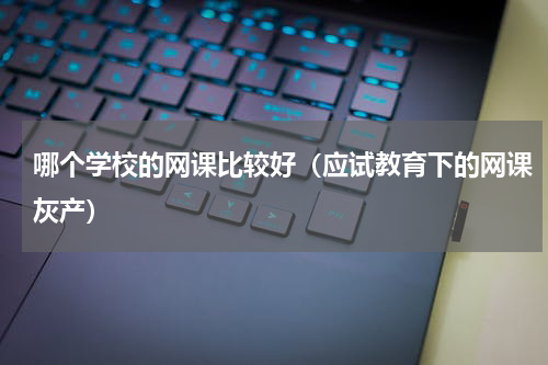 哪个学校的网课比较好（应试教育下的网课灰产）