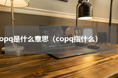 copq是什么意思（copq指什么）