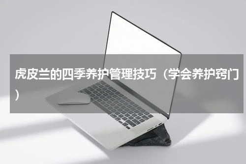 虎皮兰的四季养护管理技巧（学会养护窍门）