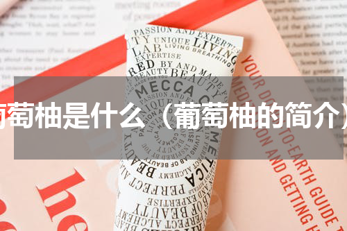 葡萄柚是什么（葡萄柚的简介）