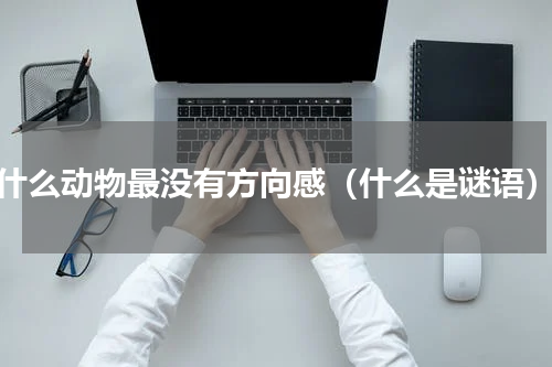 什么动物最没有方向感（什么是谜语）