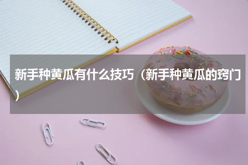 新手种黄瓜有什么技巧（新手种黄瓜的窍门）