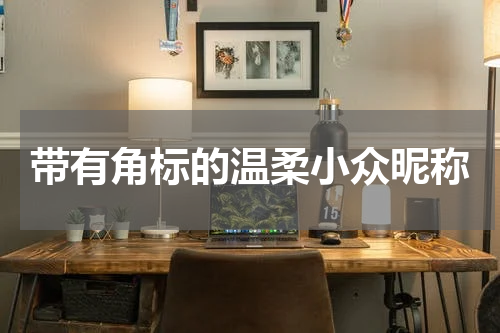 带有角标的温柔小众昵称
