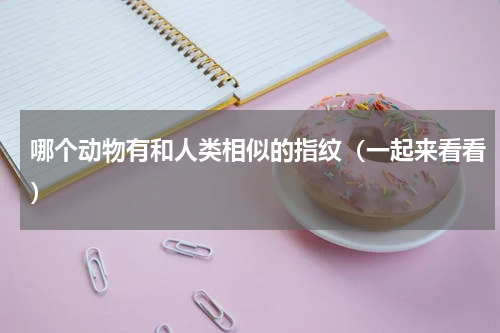 哪个动物有和人类相似的指纹（一起来看看）
