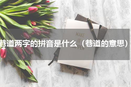 巷道两字的拼音是什么（巷道的意思）