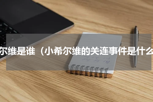 希尔维是谁（小希尔维的关连事件是什么）