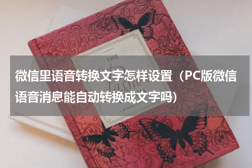 微信里语音转换文字怎样设置（PC版微信语音消息能自动转换成文字吗）