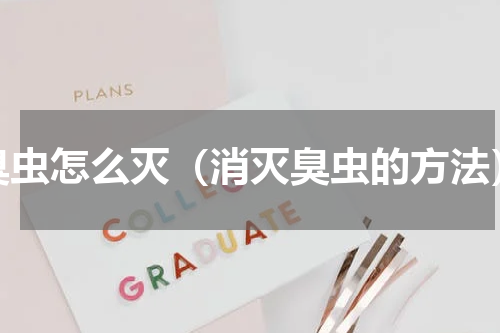 臭虫怎么灭（消灭臭虫的方法）