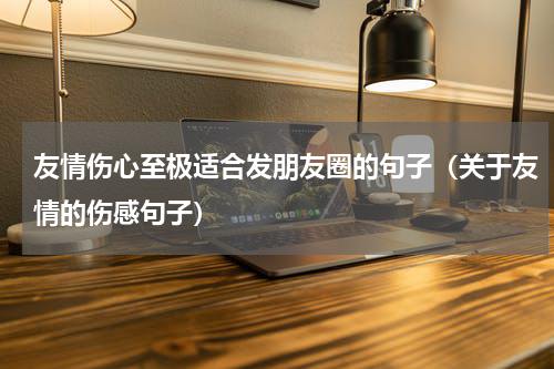 友情伤心至极适合发朋友圈的句子（关于友情的伤感句子）