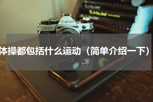 体操都包括什么运动（简单介绍一下）
