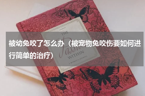 被幼兔咬了怎么办（被宠物兔咬伤要如何进行简单的治疗）