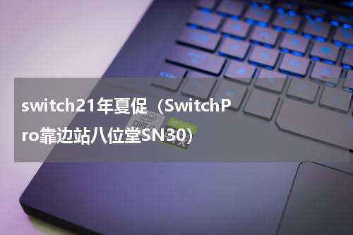 switch21年夏促（SwitchPro靠边站八位堂SN30）