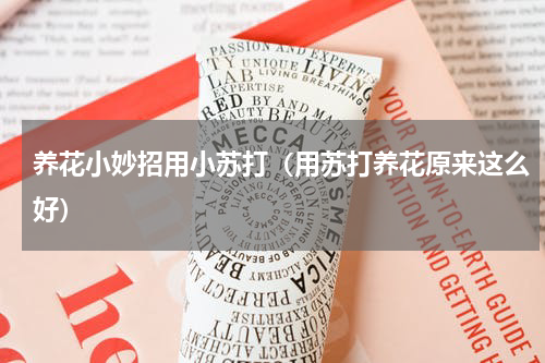 养花小妙招用小苏打（用苏打养花原来这么好）