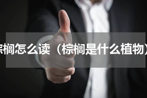 棕榈怎么读（棕榈是什么植物）