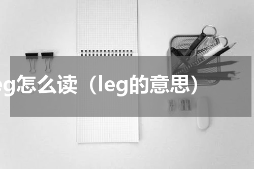 leg怎么读（leg的意思）